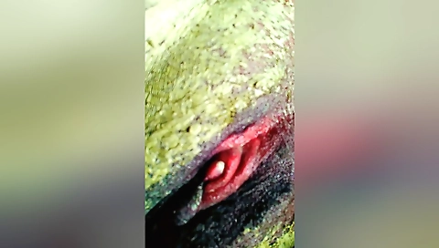 Indian teen sex porn amateur sex creampie porn clip