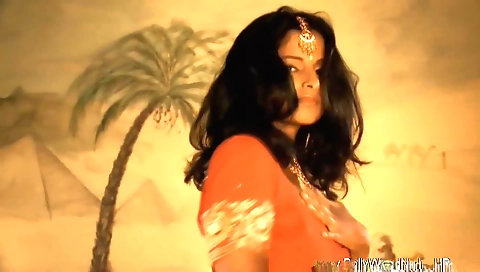 Indian brunette fucked by her boyfriend on her own